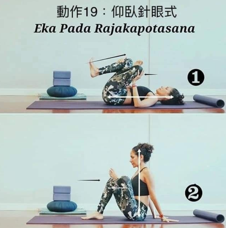 20 个常见体式“力的走向图”，练瑜伽知道如何发力很重要!  第 19 张