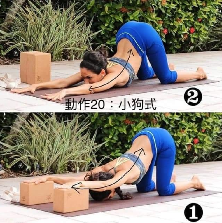 20 个常见体式“力的走向图”，练瑜伽知道如何发力很重要!  第 20 张