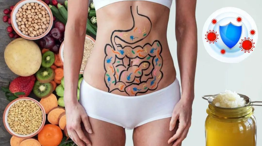 脏腑经络·四季排毒·清洁主题静修营  内脏垃圾毒素 驻颜延寿 脏腑经络 四季排毒 脏腑经络瑜伽 瑜伽清洁主题静修营 春生 夏展 秋收 冬藏 脾胃经 肾经 膀胱经 心肺经 大小肠经 肝胆经 第 2 张