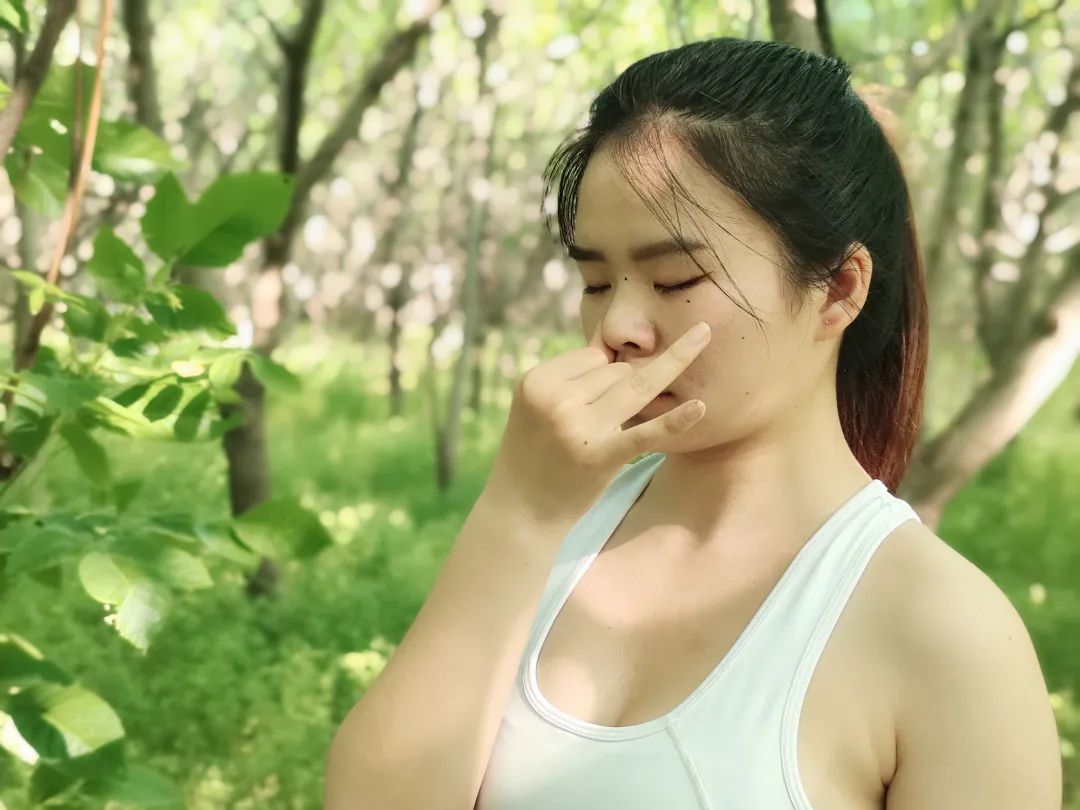 脏腑经络·四季排毒·清洁主题静修营  内脏垃圾毒素 驻颜延寿 脏腑经络 四季排毒 脏腑经络瑜伽 瑜伽清洁主题静修营 春生 夏展 秋收 冬藏 脾胃经 肾经 膀胱经 心肺经 大小肠经 肝胆经 第 8 张