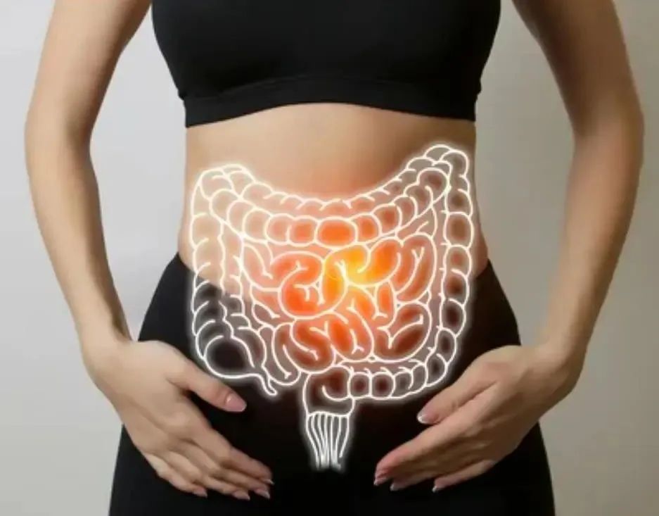 脏腑经络·四季排毒·清洁主题静修营  内脏垃圾毒素 驻颜延寿 脏腑经络 四季排毒 脏腑经络瑜伽 瑜伽清洁主题静修营 春生 夏展 秋收 冬藏 脾胃经 肾经 膀胱经 心肺经 大小肠经 肝胆经 第 9 张