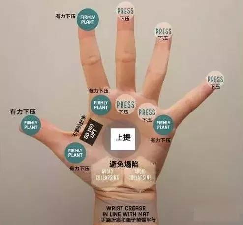 练得再多也不如练得精! 练瑜伽，正位很重要，附 26 个瑜伽体式正位图  第 9 张