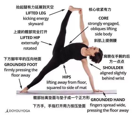 练得再多也不如练得精! 练瑜伽，正位很重要，附 26 个瑜伽体式正位图  第 19 张