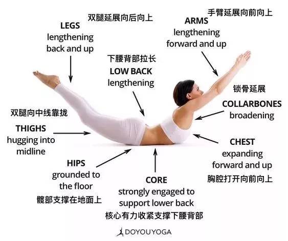 练得再多也不如练得精! 练瑜伽，正位很重要，附 26 个瑜伽体式正位图  第 22 张