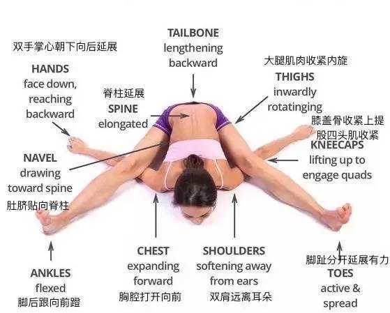 练得再多也不如练得精! 练瑜伽，正位很重要，附 26 个瑜伽体式正位图  第 28 张