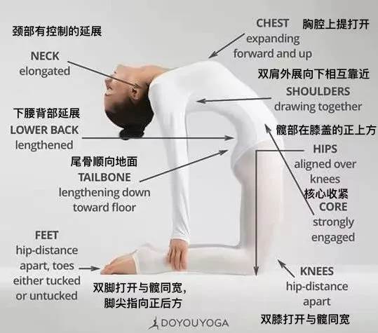 练得再多也不如练得精! 练瑜伽，正位很重要，附 26 个瑜伽体式正位图  第 29 张