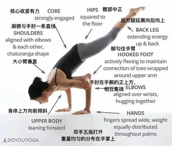 练得再多也不如练得精! 练瑜伽，正位很重要，附 26 个瑜伽体式正位图  第 32 张
