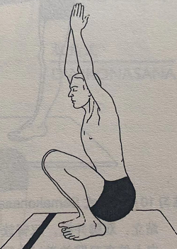 动能式 Druta Utkatasana (dynamic energy pose)  动能式 Druta dynamic pose 第 1 张