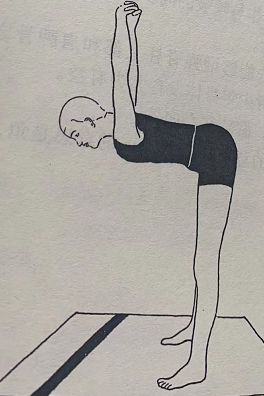 双角式 Dwikonasana(double angle pose)  双角式 Dwikonasana double pose 第 1 张