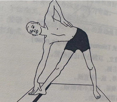 三角式 Trikonasana（triangle pose）  三角式 Trikonasana triangle pose 第 2 张