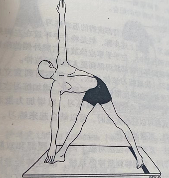 三角式 Trikonasana（triangle pose）  三角式 Trikonasana triangle pose 第 3 张