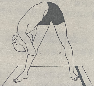 钟摆式 Dolasana(oendulum pose)  钟摆式 Dolasana oendulum pose 第 1 张