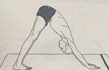 顶峰式 Parvatasana (mountain pose)  pose 第 1 张