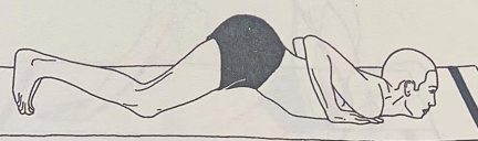 八支致敬式 Ashtanga Namaskara (salute with eight parts or points)  points 第 1 张