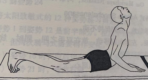 眼镜蛇式 Bhujangasana (cobra pose)  第 1 张