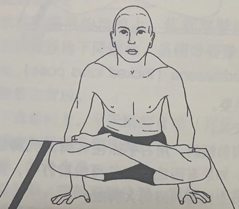 秋千式 Lolasana (swinging pose)  打开双肩 增强控制力 第 1 张