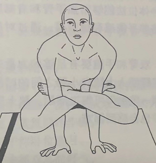 公鸡式 Kukkutasana (cockerel pose)  增强背部力量。刺激根轮 唤醒昆达里尼能量 第 1 张