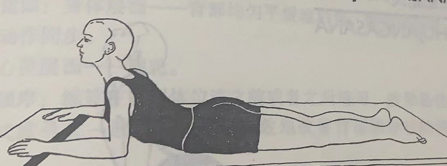 简易眼镜蛇式 Saral Bhujangasana (easy cobra pose)  改善背部僵硬 第 1 张