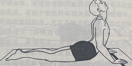 眼睛蛇式Bhujangasana(cobra pose)