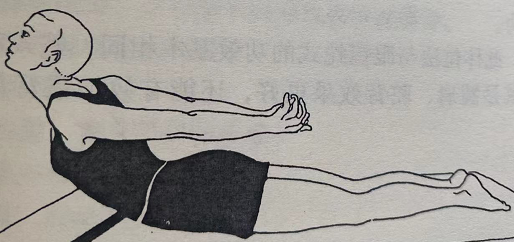 蛇式 Sarpasana (snake pose)  矫正圆肩 驼背 加强背部肌肉力量 第 1 张