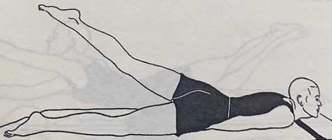 半蝗虫式 Ardha Shalabhasana (half locust pose)  增强背部力量 练习专注力 第 1 张