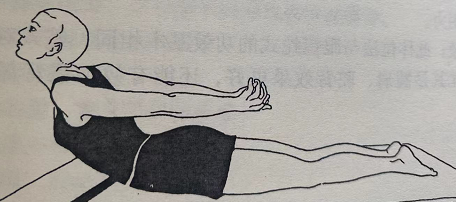 蝗虫式 Shalabhasana (locust pose)  刺激食欲 雷电契合法 第 1 张