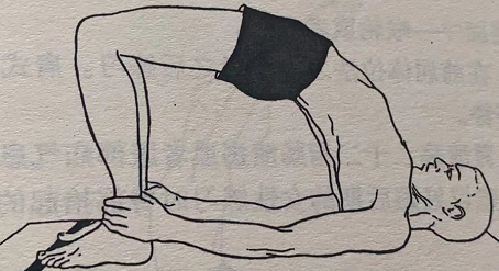 肩式 Kandharasana (shoulder pose)  矫正脊柱 圆肩 生殖器官 月经不调 子宫下垂 第 1 张