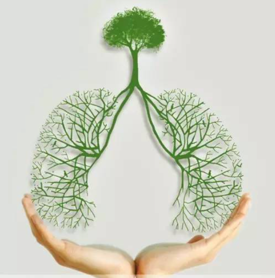 瑜伽理疗介绍与体式 -- 阿育吠陀, 吠陀经典 (Ayurveda) 的生命学科  第 1 张