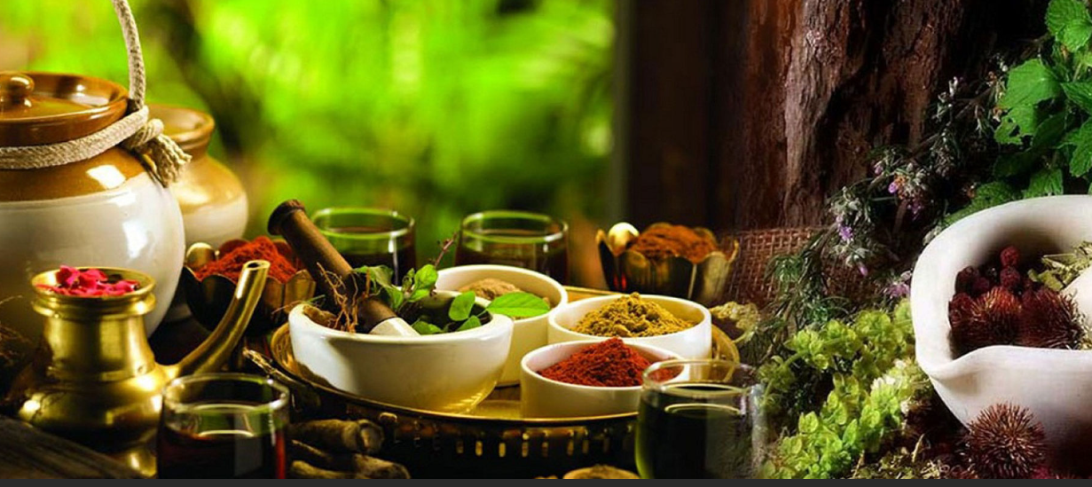瑜伽理疗介绍与体式 -- 阿育吠陀, 吠陀经典 (Ayurveda) 的生命学科  第 2 张