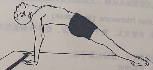 桥式 Setu -Asana ( bridge pose ) 