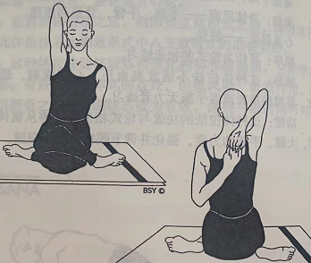  牛面式 Gomukhasana (cow's face pose)  缓解焦虑 改善体态 打开胸腔 柔韧双腿 第 1 张