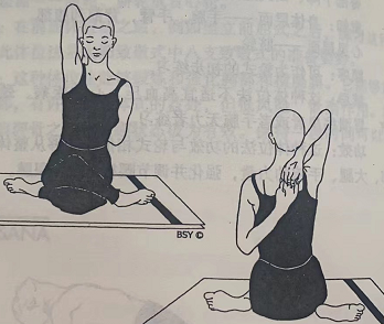 牛面式 Gomukhasana ( cow's face pose) 