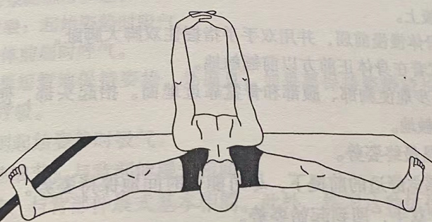 分腿背部伸展式 Pada Prasar Paschimottanasana (legs spread back stretch pose)  腿部伸展 胸部扩展 拉伸背部 第 2 张