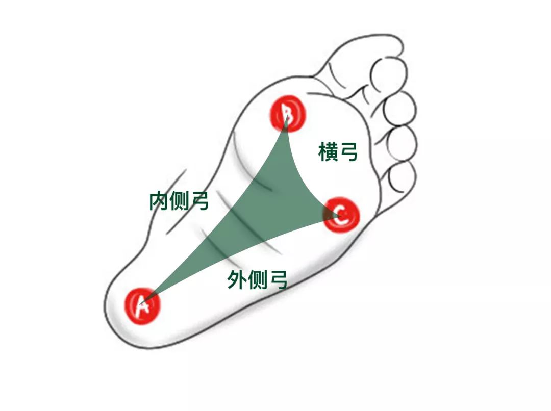 堪称“天然减震器”的足弓，在瑜伽练习中如何激活它？  甲状腺 心轮 战士 2 姿势排序的 5 种方法 王瑜伽 瑜伽呼吸技巧 第 1 张
