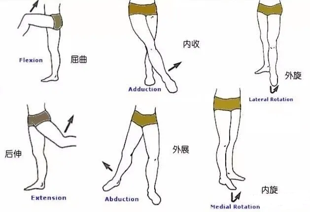 不了解的开髋误区？随便开髋伤害更大！  第 1 张