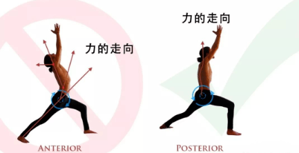 练瑜伽为什么要强调“正位”？这 6 大原则一定要知道！  第 12 张