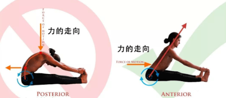 练瑜伽为什么要强调“正位”？这 6 大原则一定要知道！  第 11 张