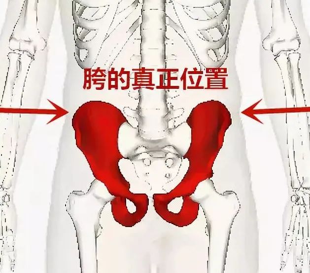 10分钟“缩胯操”，消灭「假胯宽」，腿长了，腰瘦了！（胯部减肥操）