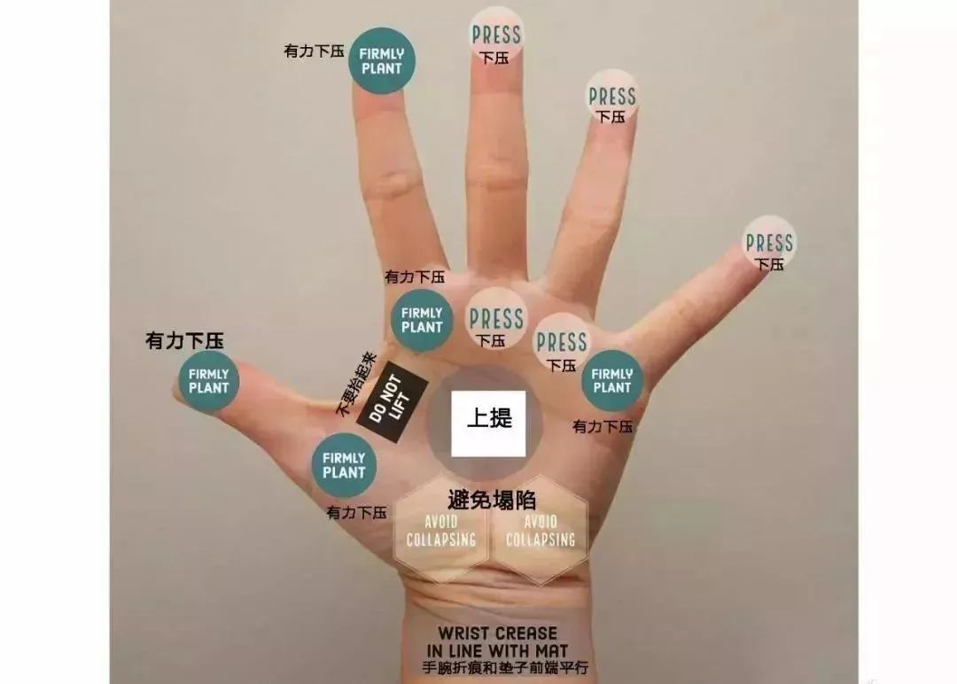 关于倒立的 8 个问题，解答都在这里了，超详细！  第 4 张