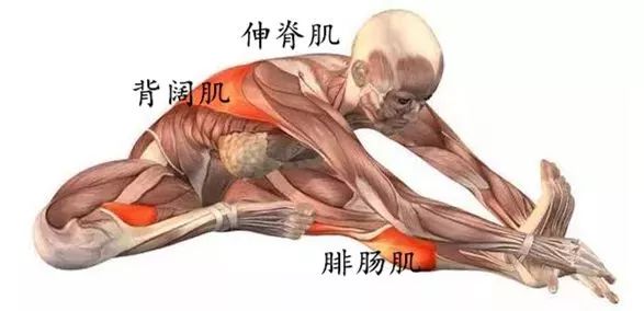 女性常练 1 个动作，保护子宫，美白养颜，妇科病不靠近！  第 6 张