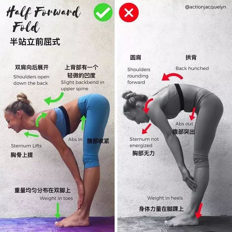 30 个瑜伽体式“力的走向图”，精准正位很重要（收藏级）  第 2 张