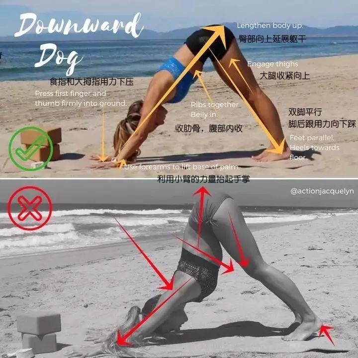 30 个瑜伽体式“力的走向图”，精准正位很重要（收藏级）  第 12 张