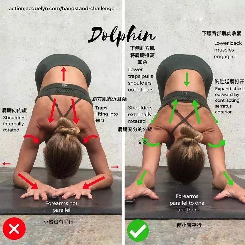 30 个瑜伽体式“力的走向图”，精准正位很重要（收藏级）  第 13 张