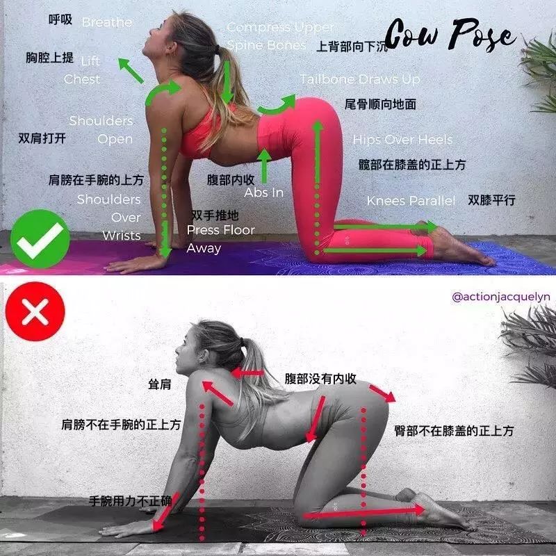 30 个瑜伽体式“力的走向图”，精准正位很重要（收藏级）  第 15 张
