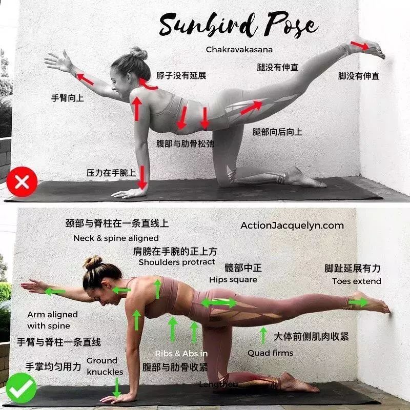 30 个瑜伽体式“力的走向图”，精准正位很重要（收藏级）  第 16 张