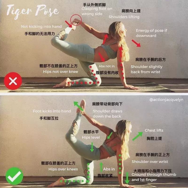 30 个瑜伽体式“力的走向图”，精准正位很重要（收藏级）  第 17 张
