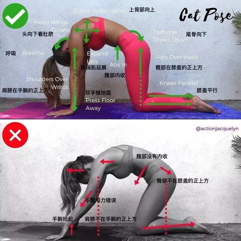30 个瑜伽体式“力的走向图”，精准正位很重要（收藏级）  第 14 张
