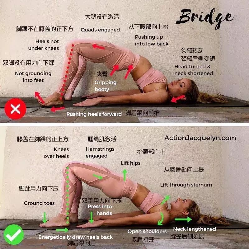 30 个瑜伽体式“力的走向图”，精准正位很重要（收藏级）  第 28 张