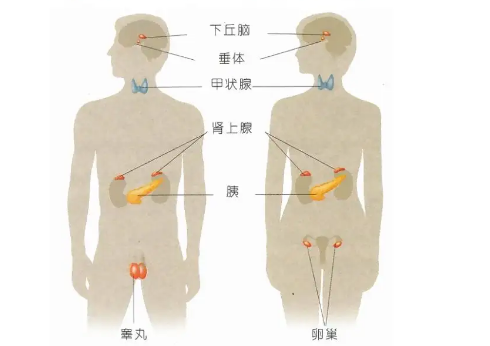 它才是女性「变老、变胖」的元凶！ 身体 9 大信号预警，别忽视！（附瑜伽调理）  第 2 张