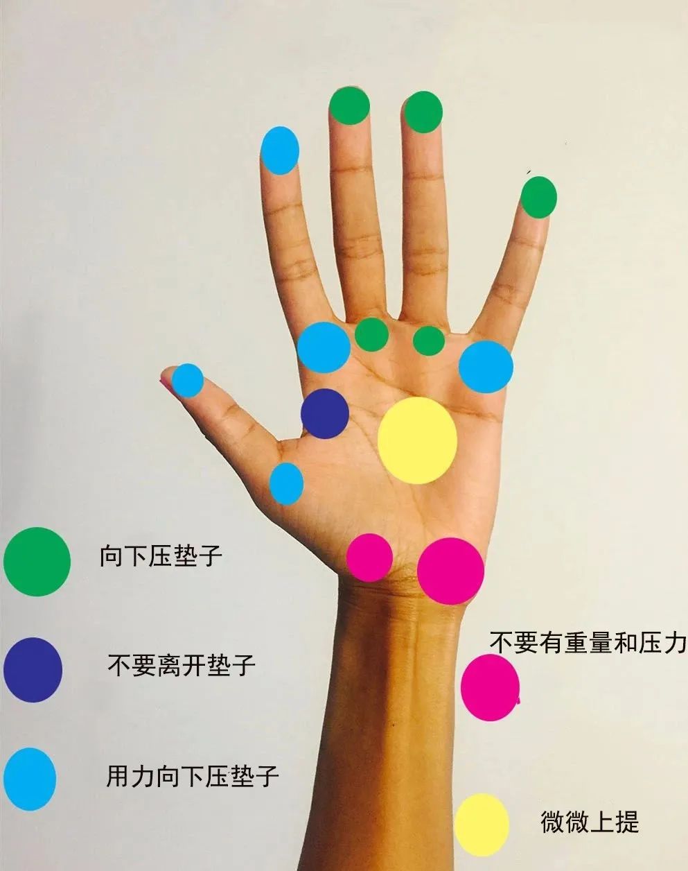 练瑜伽，如何避免手腕受伤？8+ 2 原则要记牢！动图教学  第 3 张
